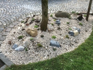 Alpinstaudengarten